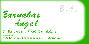 barnabas angel business card